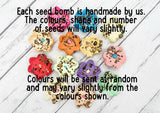 Wildflower seed bomb - If Aunties were flowers I'd pick you