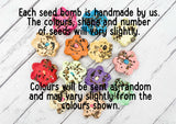 Wildflower seed bomb - If Mams were flowers I'd pick you