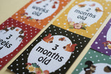 Forest Animal Premature Baby Journey Cards ®