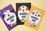 Forest Animal Baby Journey Cards ®