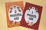 Forest Animal Baby Journey Cards ®