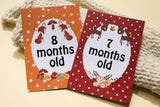 Forest Animal Baby Journey Cards ®