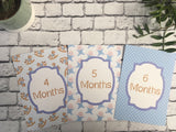 Blue Retro Baby Journey Cards ®