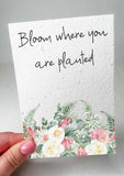 Plantable Seed Card for all occasions