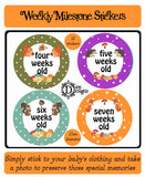 Weekly Journey Stickers - Forest Animals
