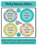 Weekly Journey Stickers - Bright Floral