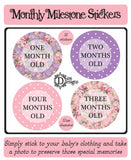 Monthly Journey Stickers - Bright Floral