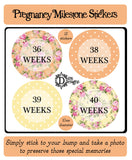 Pregnancy Journey Stickers - Bright Floral